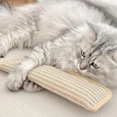 KattyNord - Leksaken din katt kommer att älska!