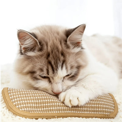 KattyNord - Leksaken din katt kommer att älska!