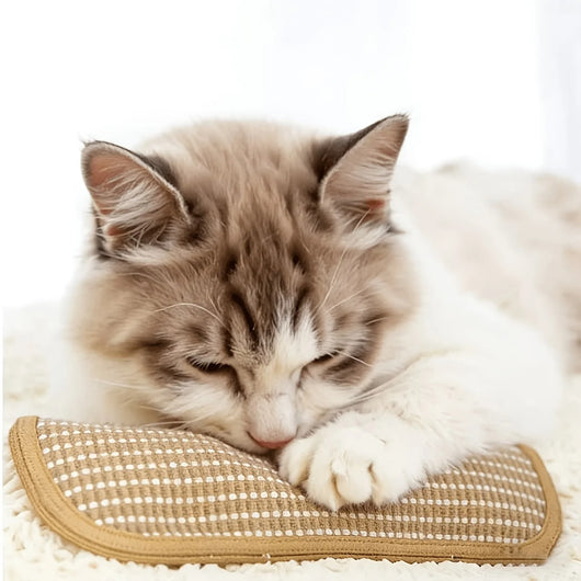 KattyNord - Leksaken din katt kommer att älska!