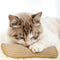 KattyNord - Leksaken din katt kommer att älska!