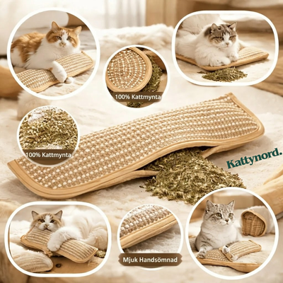 KattyNord - Leksaken din katt kommer att älska!