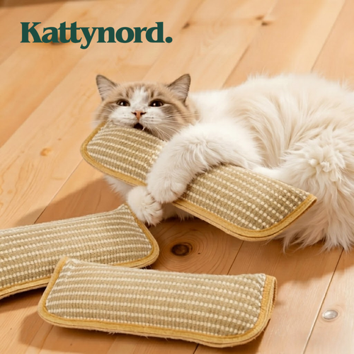 KattyNord - Leksaken din katt kommer att älska!